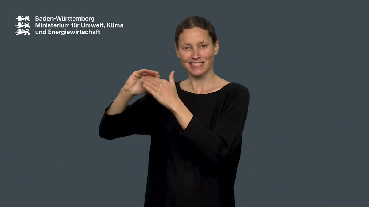 Im Video wird in Gebärdensprache erläutert, welche Inhalte im Wesentlichen auf der Website zu finden sind.