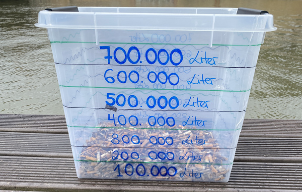 Kiste mit den gesammelten Zigaretten-Stummeln