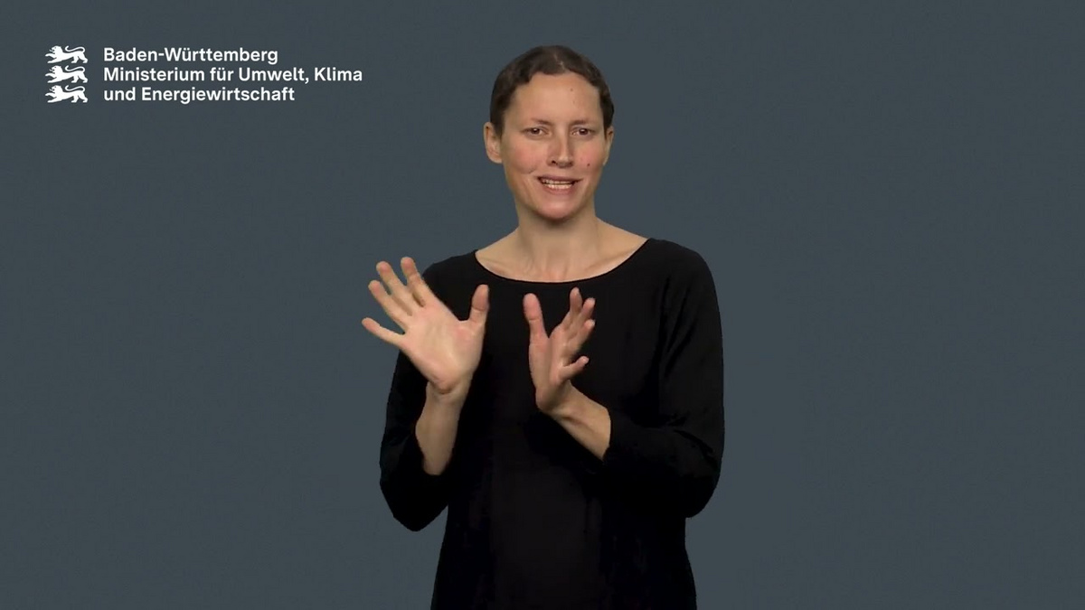 Gebärdevideo zur Barrierefreiheit der Website